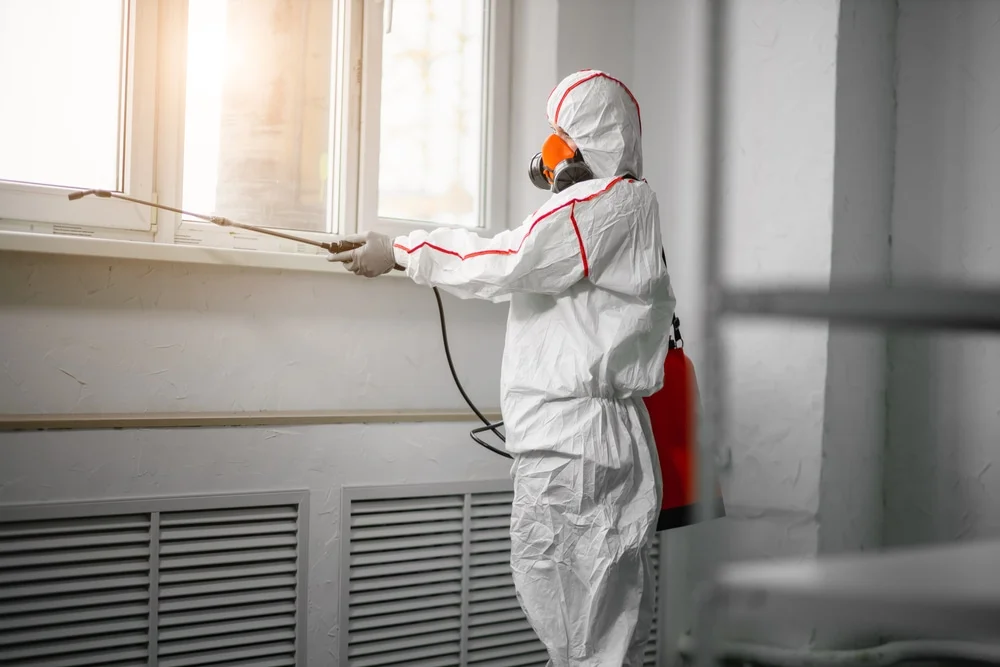 Professional mold remediation services in Weare, NH
